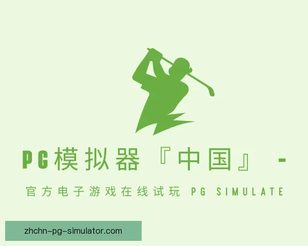 认识PG模拟器